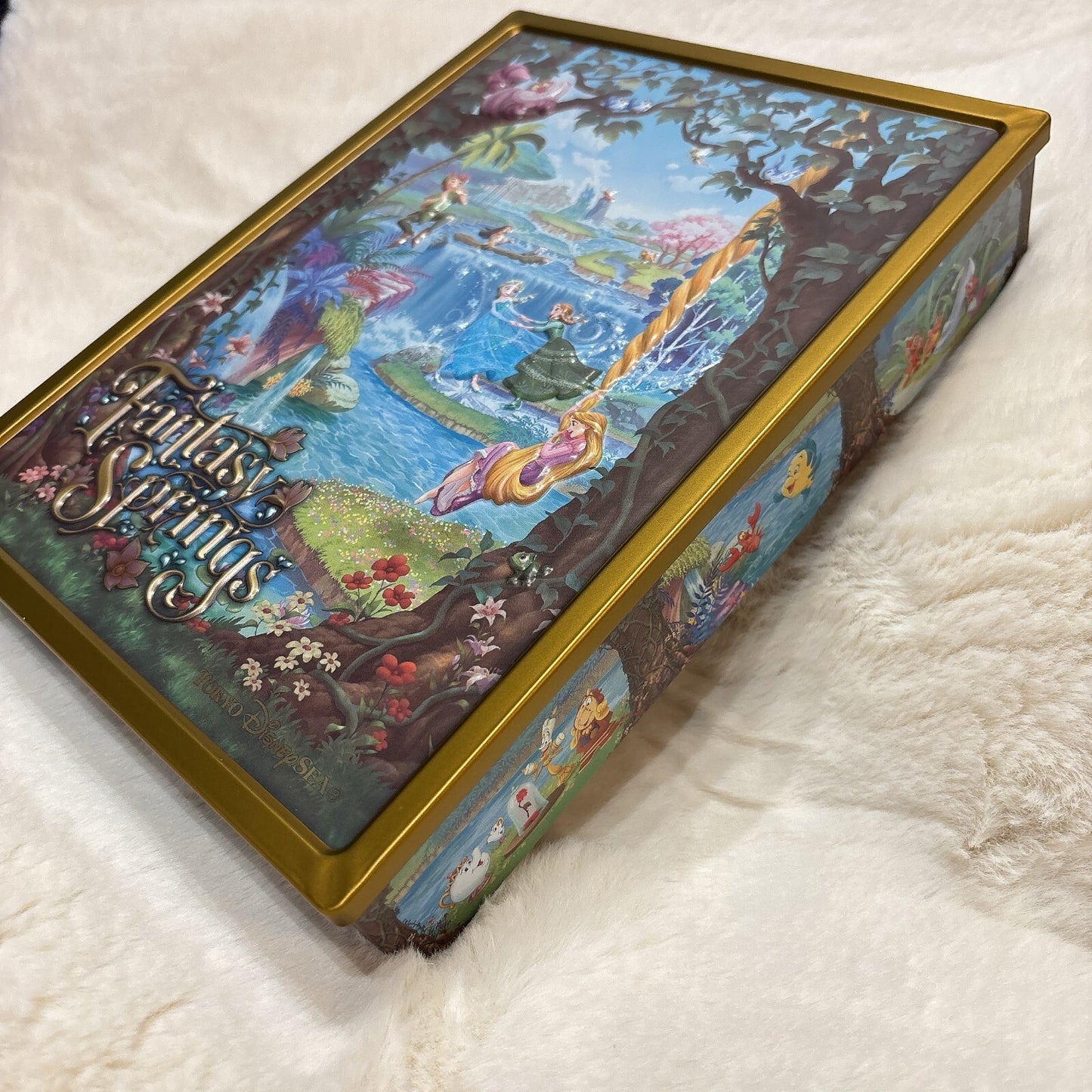 Japan Tokyo Disney Resort Candy Can Fantasy Springs Rapunzel Peter Pan Frozen