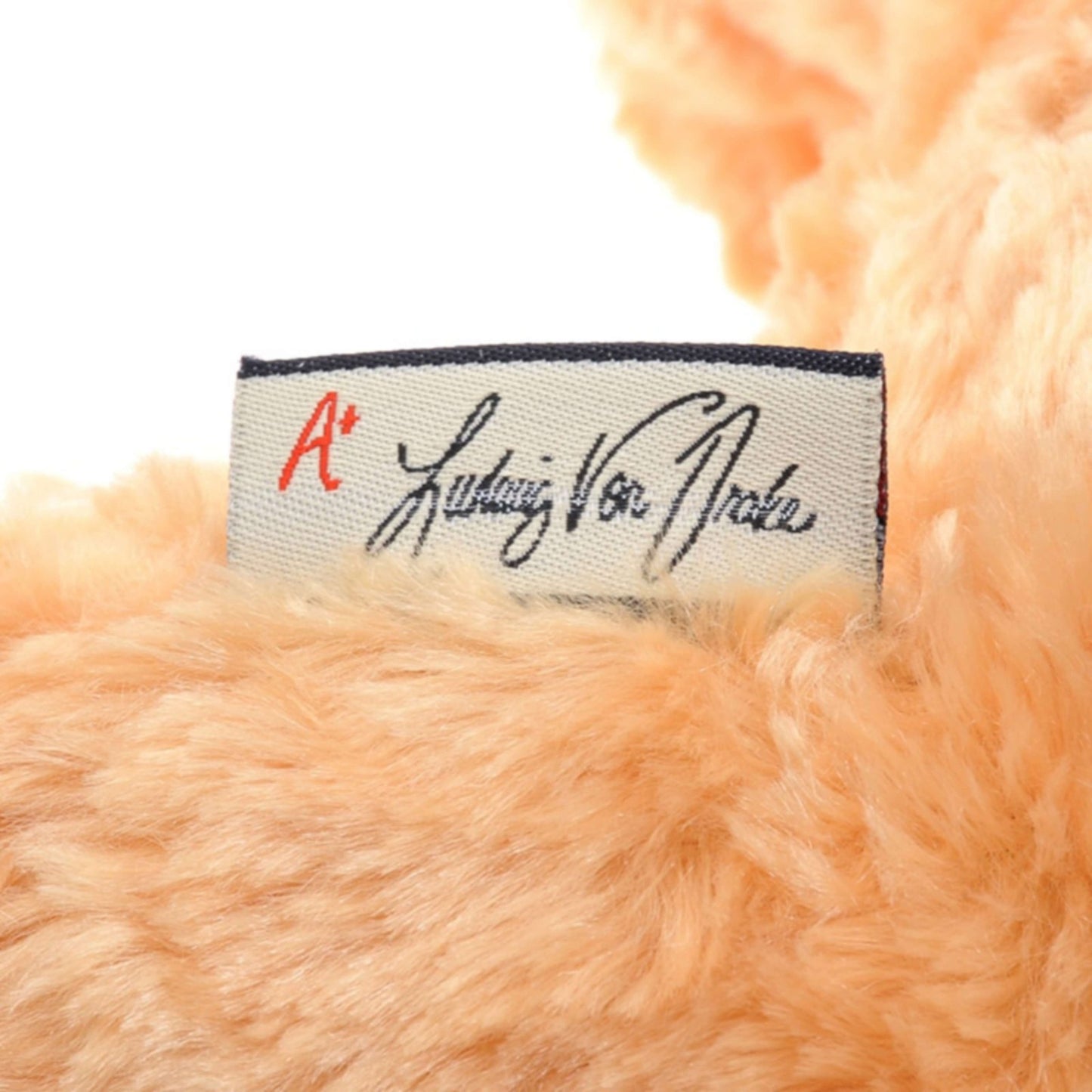 Japan Tokyo Disney Store UniBEARsity Plush Toy Rusk