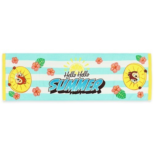 Japan Tokyo Disney Resort Chip and Dale Face Towel Hello Summer