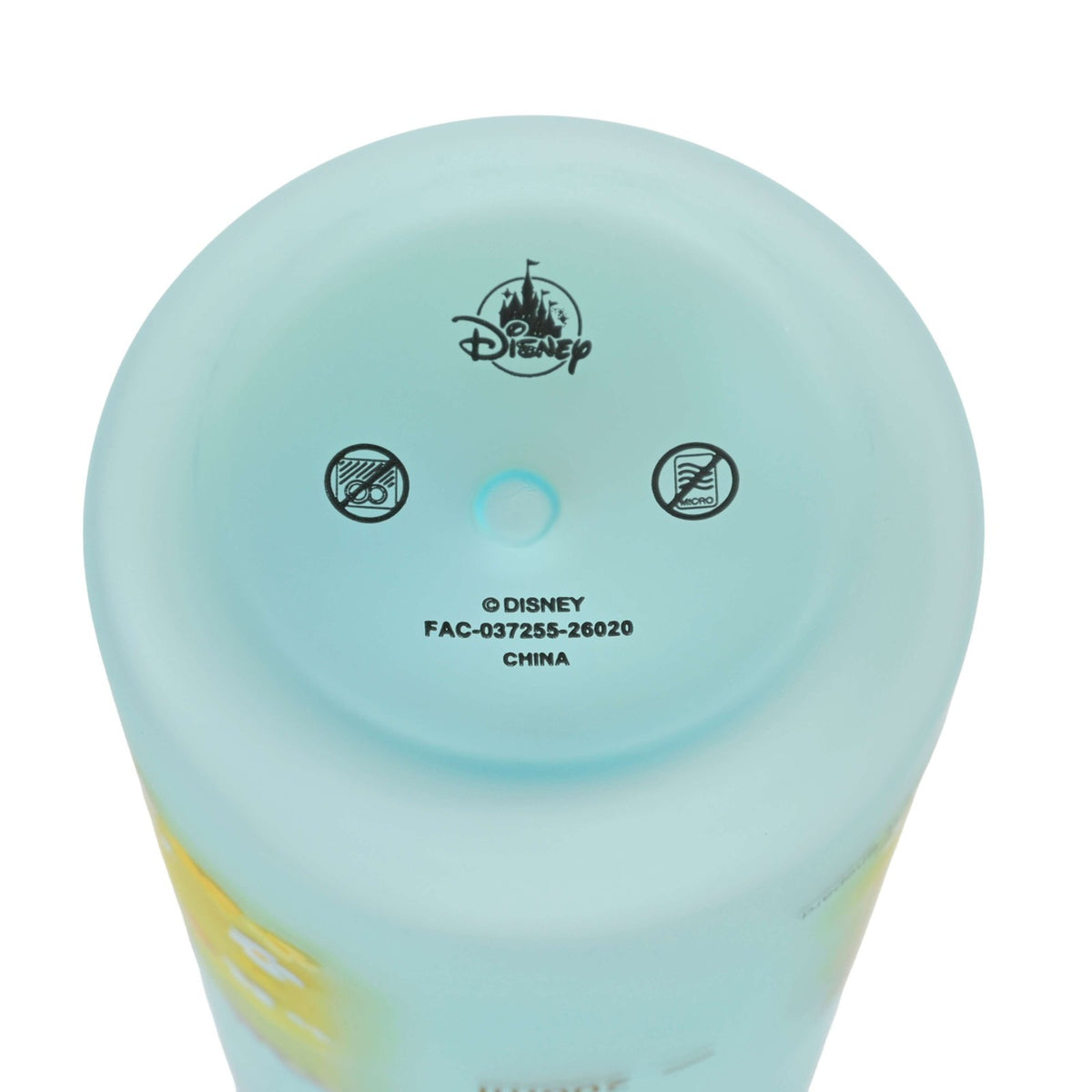 Japan Tokyo Disney Store Pooh & Friends Water Bottle Frosted Roo & Lumpy