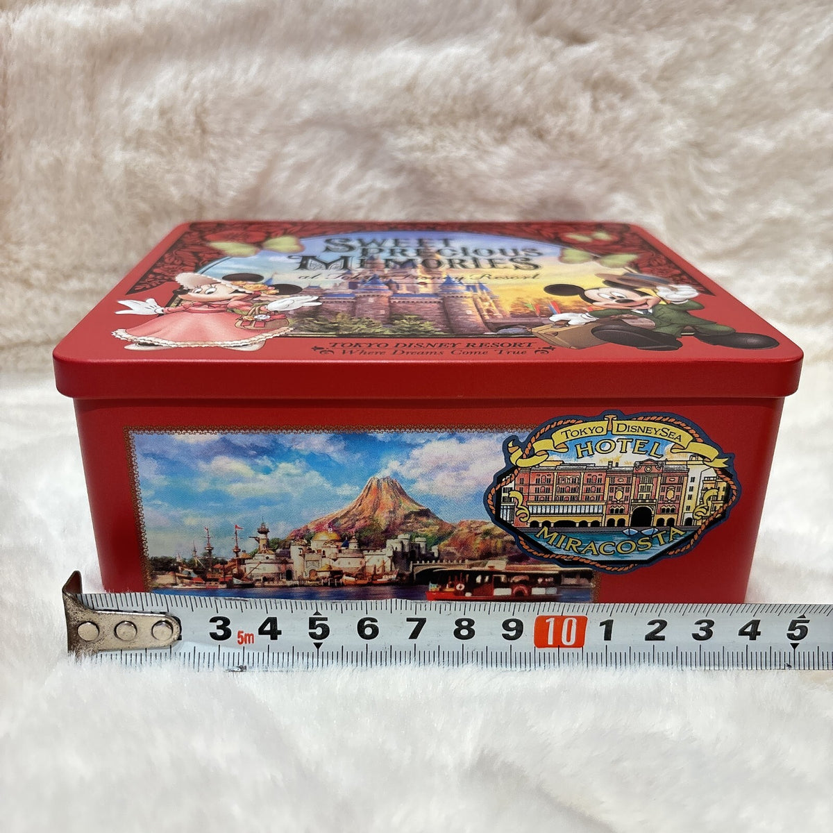 Japan Tokyo Disney Resort Candy Can Mickey Minnie Cinderella Castle Land Sweet