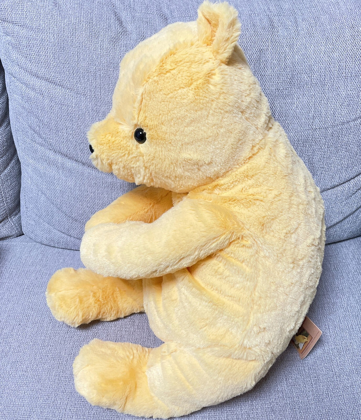 Japan Disney Classic Pooh Winnie the Pooh Retro Plush Toy Fluffy