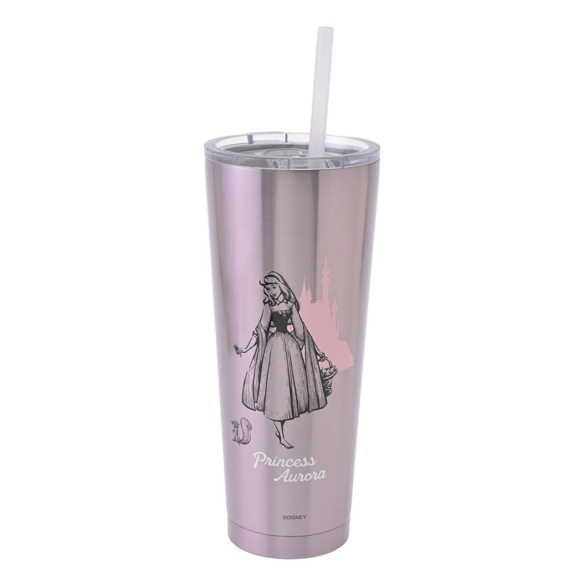 Japan Tokyo Disney Store Aurora Tumbler Stainless Steel with Straw Drinkware