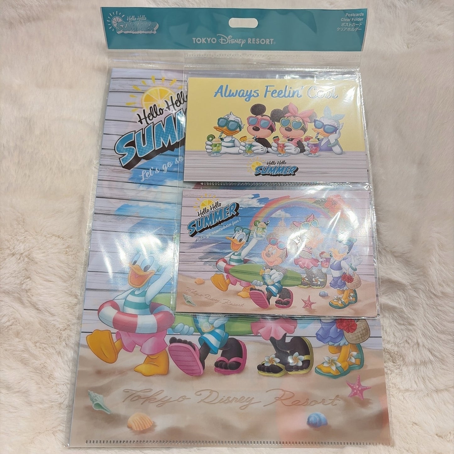 Japan Tokyo Disney Resort Mickey and Minnie Postcard & Clear Folder Hello Summer