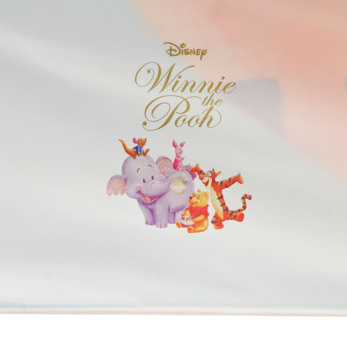 Japan Tokyo Disney Store Pooh Foldable Umbrella Sun Rain with Pouch Roo & Lumpy