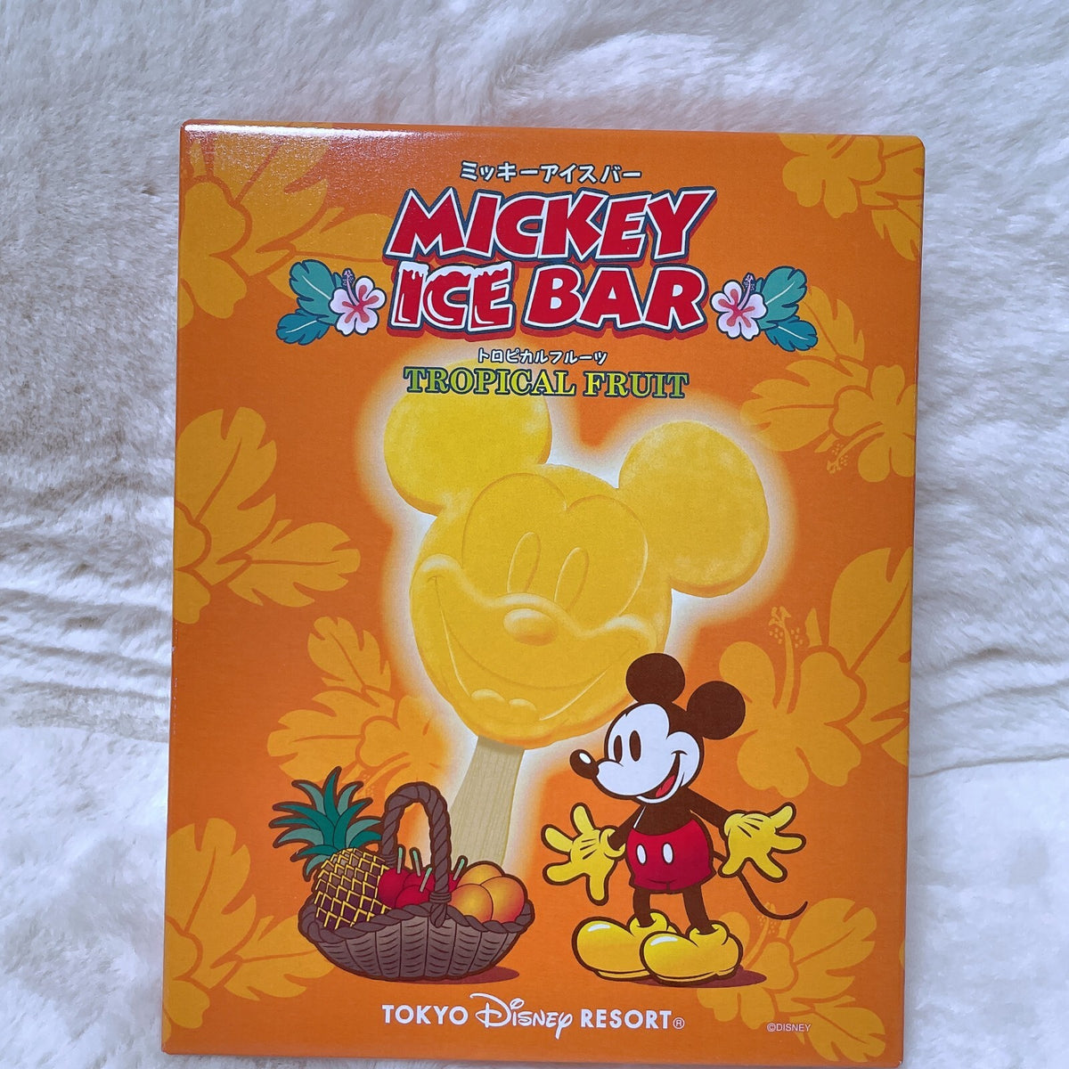 Tokyo Japan Disney Resort Limited Mickey Ice Bar Motif Plate & Spoon souvenir