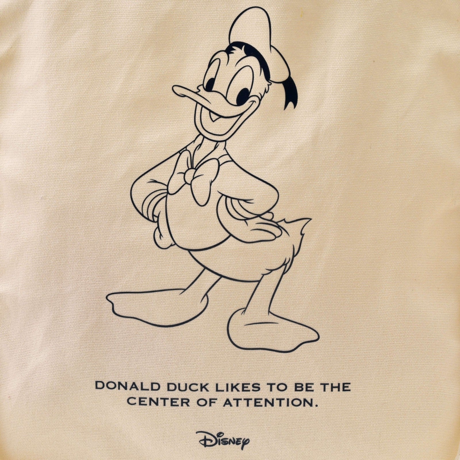 Japan Tokyo Disney Store Donald Duck Tote Bag Basic Logo Tote Bag Collection
