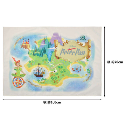 Japan Tokyo Disney Store Peter Pan Picnic Sheet S Pouch Map Compact