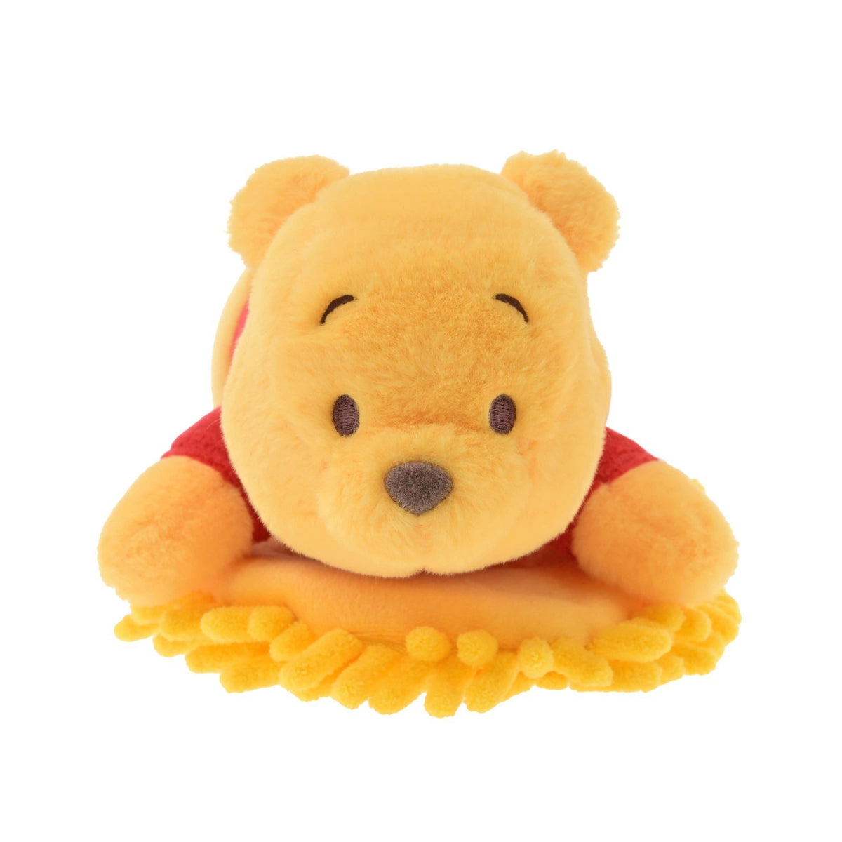 Japan Tokyo Disney Store Pooh Handy Mop Bath and Laundry Cleaning Goods