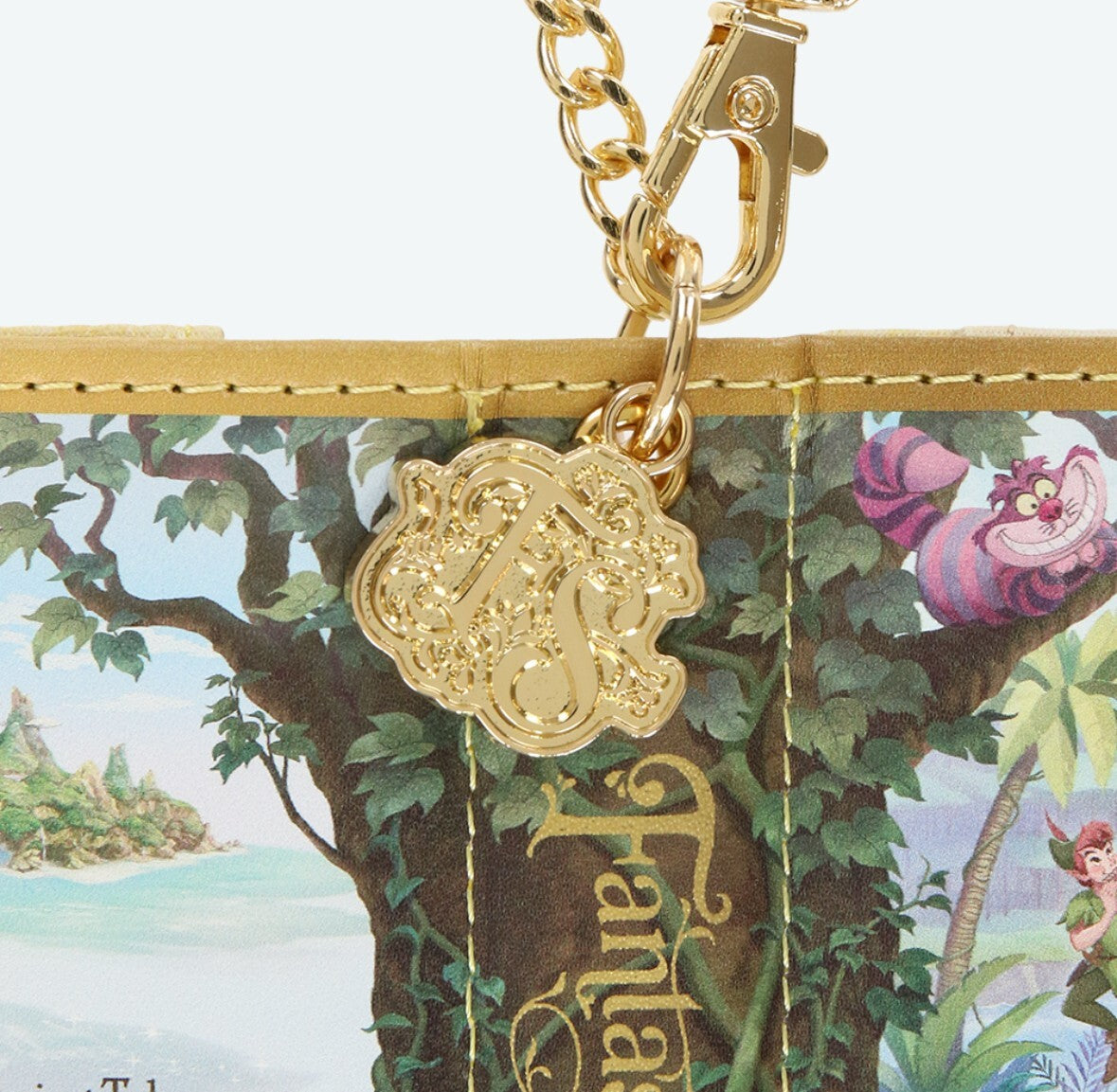 Japan Tokyo Disney Resort Fantasy Springs Pass Case Keychain Peter Pan Rapunzel