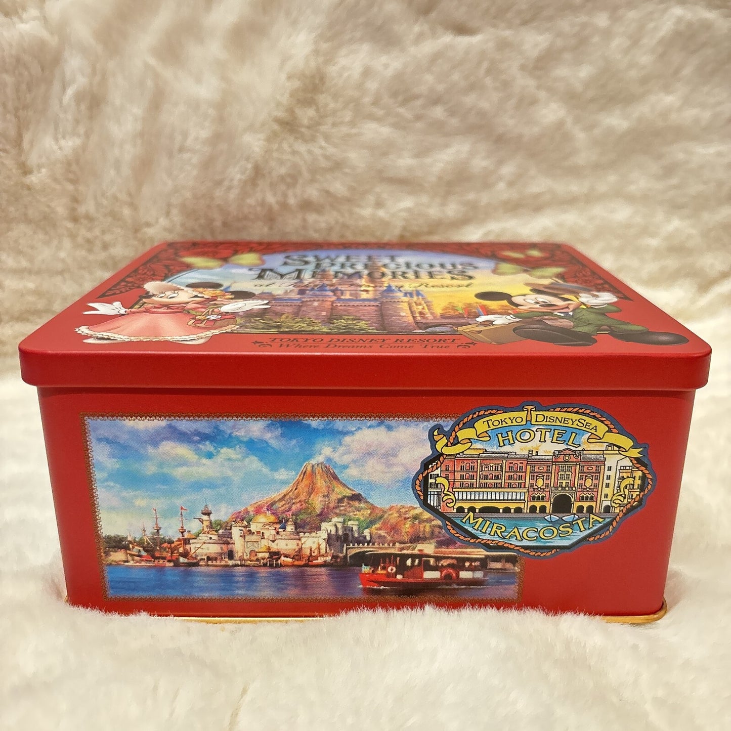 Japan Tokyo Disney Resort Candy Can Mickey Minnie Cinderella Castle Land Sweet