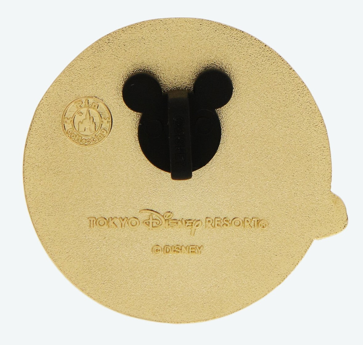 Japan Tokyo Disney Resort Pin badge Raging Spirits