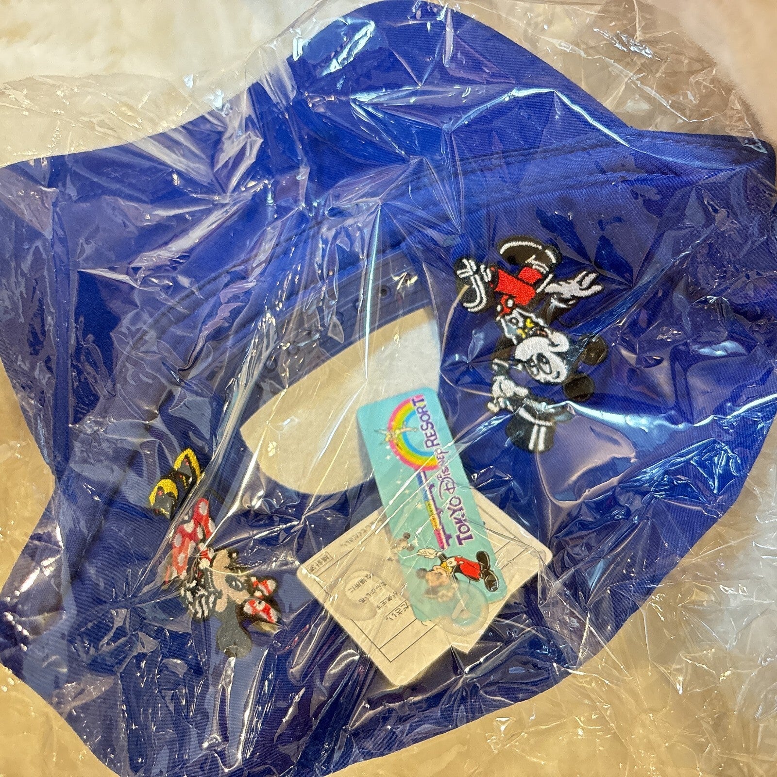 Japan Tokyo Disney Resort Mickey Mouse Resort Line Cap Monorail Train limited