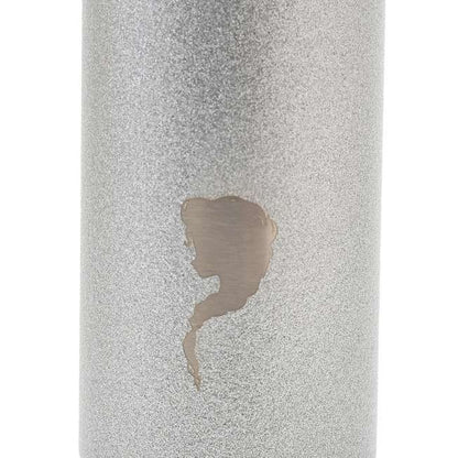Japan Tokyo Disney Store Elsa Olaf Stainless Steel Bottle Drinkware Frozen