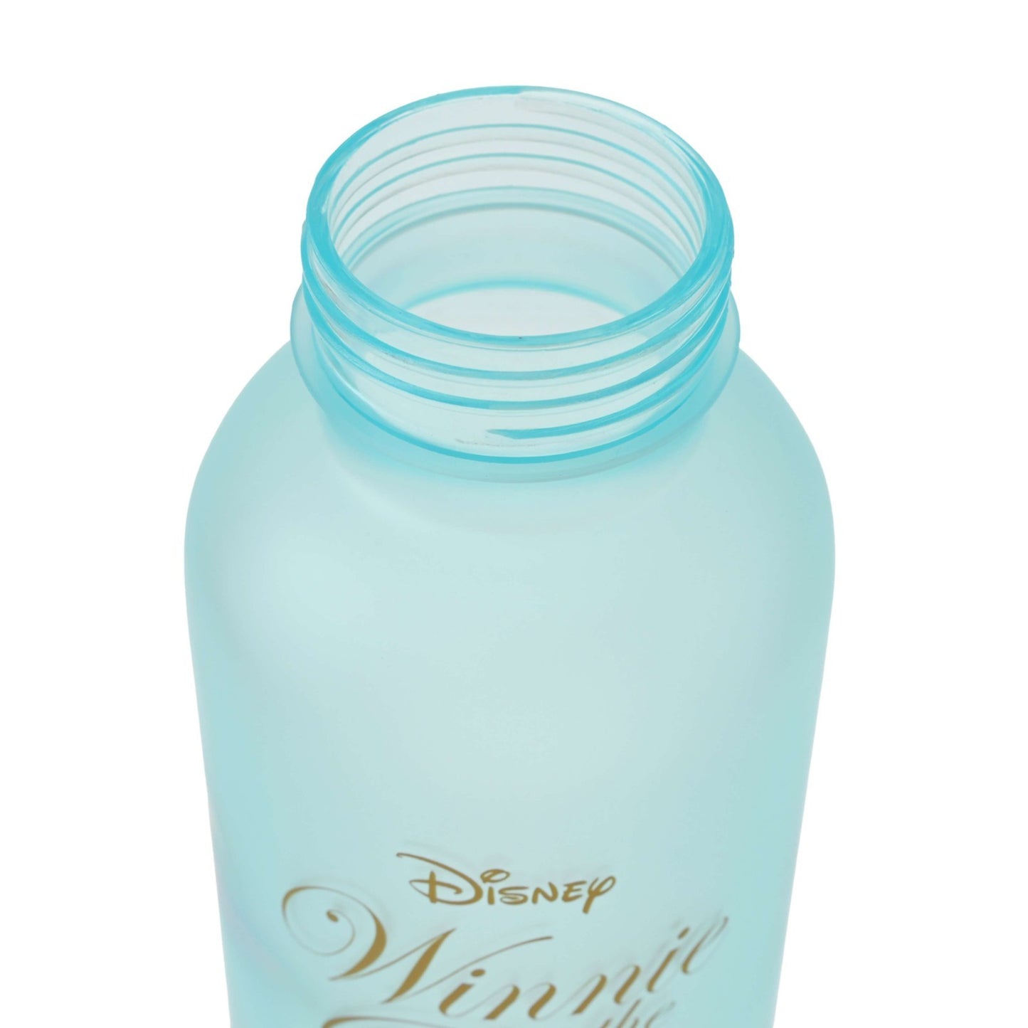 Japan Tokyo Disney Store Pooh & Friends Water Bottle Frosted Roo & Lumpy