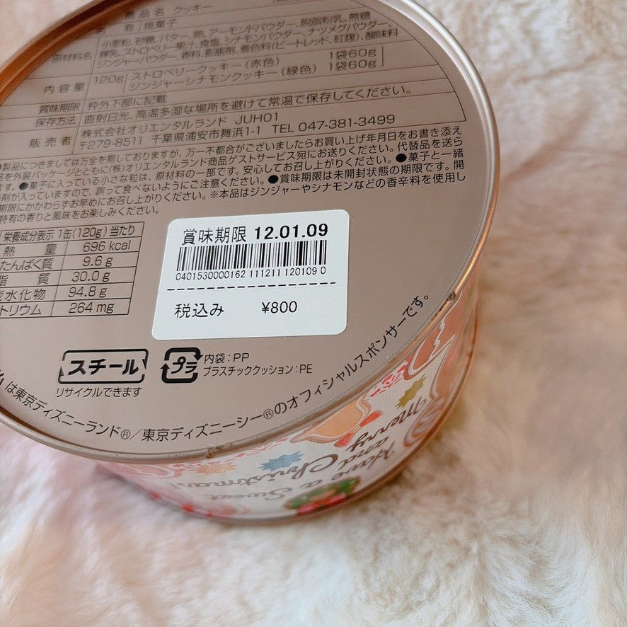 Japan Tokyo Disney Confectionery Tin Can Mickey & Minnie Christmas
