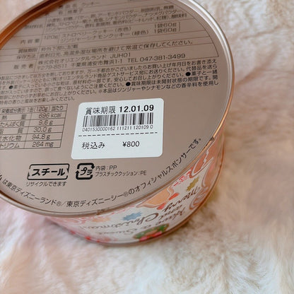 Japan Tokyo Disney Confectionery Tin Can Mickey & Minnie Christmas