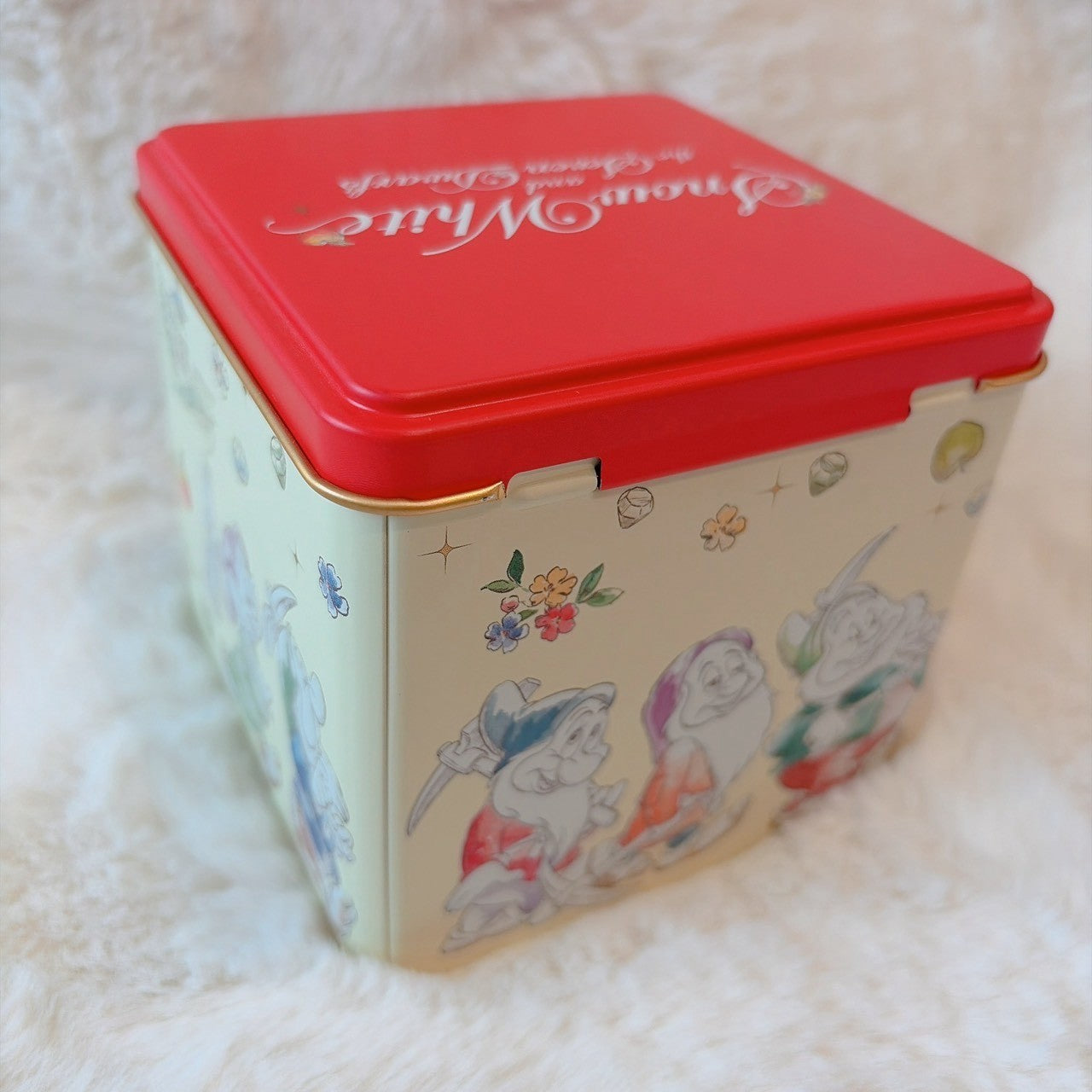 Japan Tokyo Disney Resort Assorted Cookies Tin Can Snow White The Seven Dwarfs