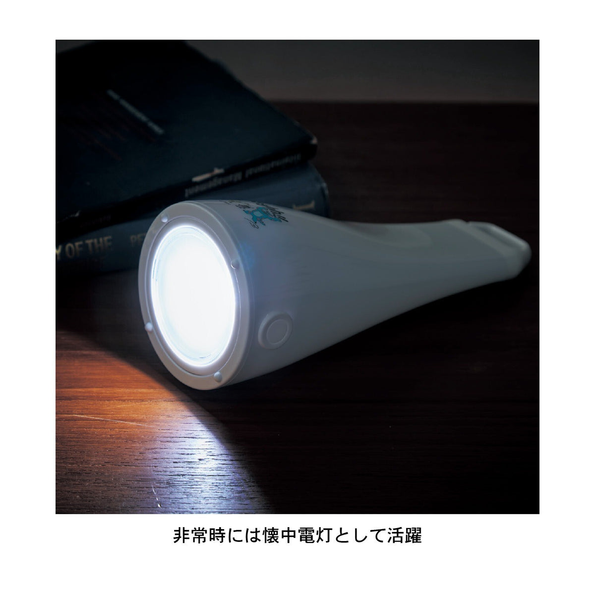 Japan Disney Fantasy Shop Bellemaison Monsters, Inc.  Flashlight Lantern Light