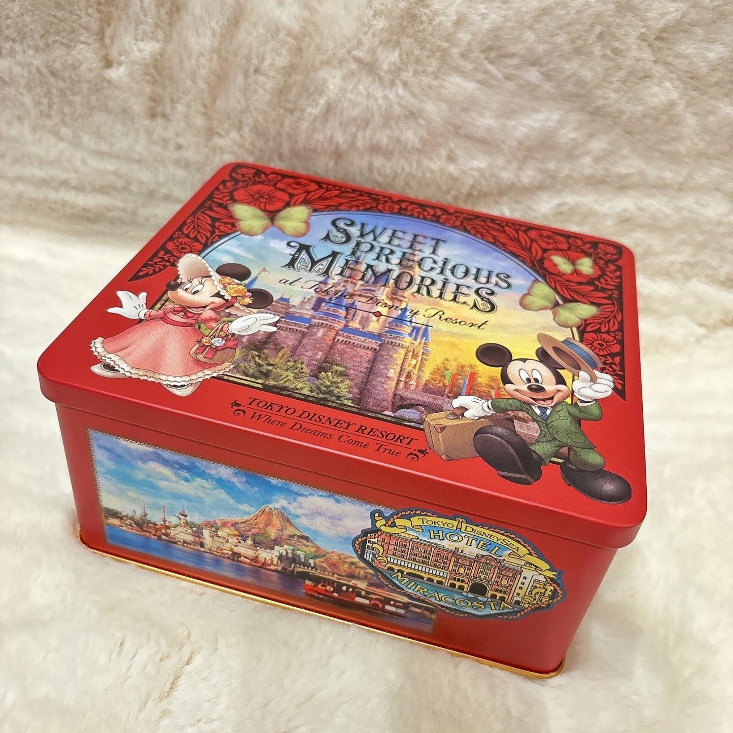 Japan Tokyo Disney Resort Candy Can Mickey Minnie Cinderella Castle Land Sweet