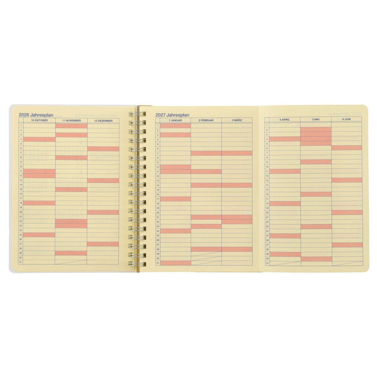 Japan Tokyo Disney Store Delfonics Donald & Friends Rollbahn Diary L 2027