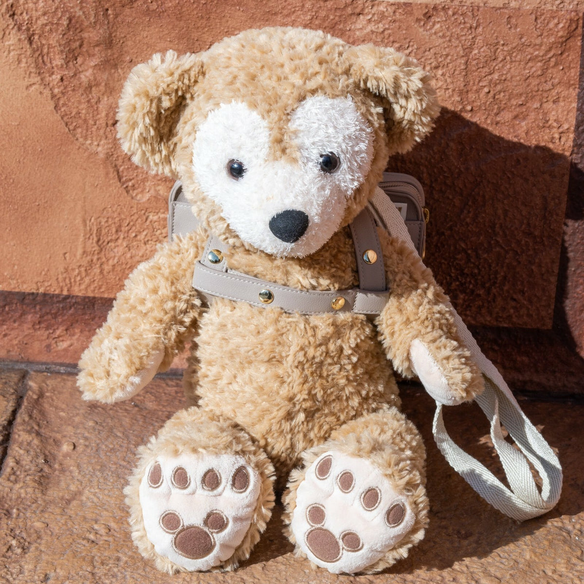 Japan Tokyo Disney Resort Duffy Carry Me Pochette Shoulder Bag Disney Bear