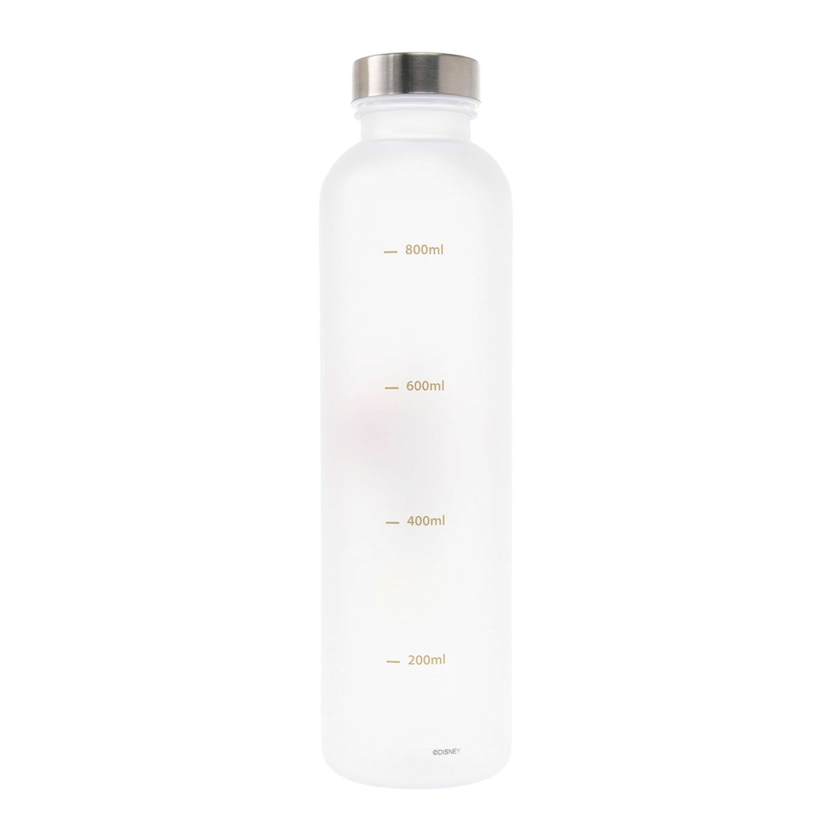 Japan Tokyo Disney Store Baymax Water Bottle 1L Frosted Holiday Gift Drinkware