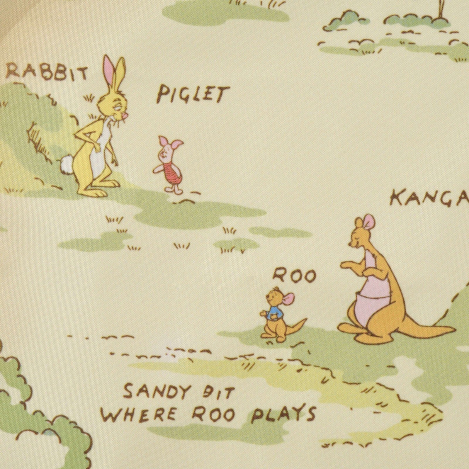 Japan Tokyo Disney Store Pooh and Friends Picnic Sheet S Pouch Map Compact
