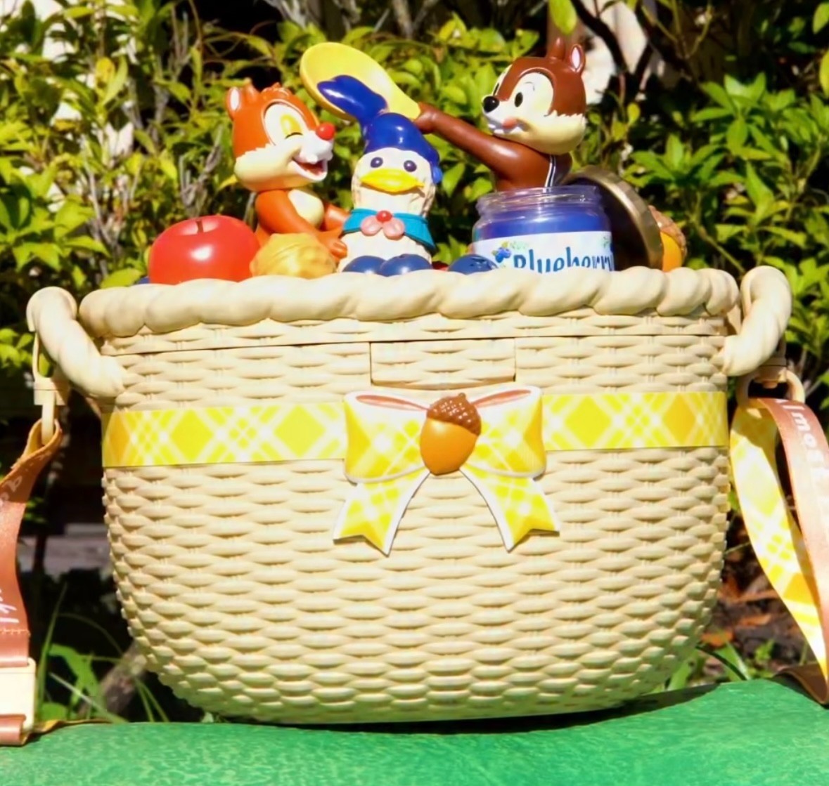 Japan Tokyo Disney Chip & Dale Donald Peanuts Popcorn Bucket  2025