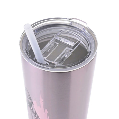 Japan Tokyo Disney Store Aurora Tumbler Stainless Steel with Straw Drinkware