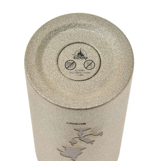 Japan Tokyo Disney Store Beauty and The Beast Stainless Steel Bottle Drinkware