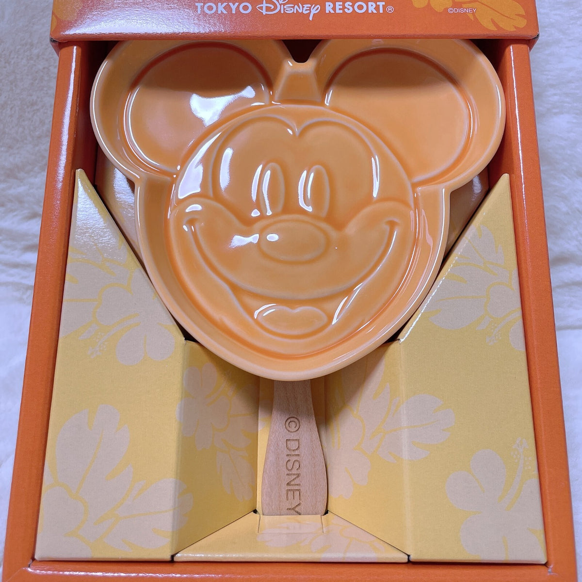 Tokyo Japan Disney Resort Limited Mickey Ice Bar Motif Plate & Spoon souvenir