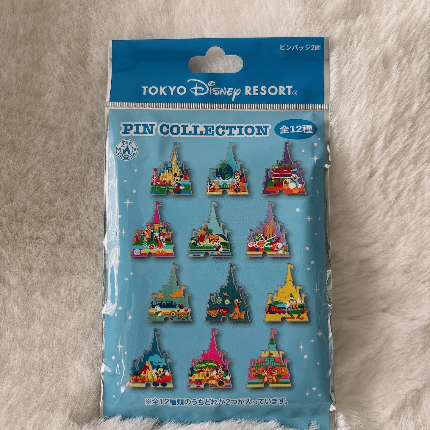 Japan Tokyo Disney Resort Cinderella Castle Pin badge Collection 1 bag (2 pins)
