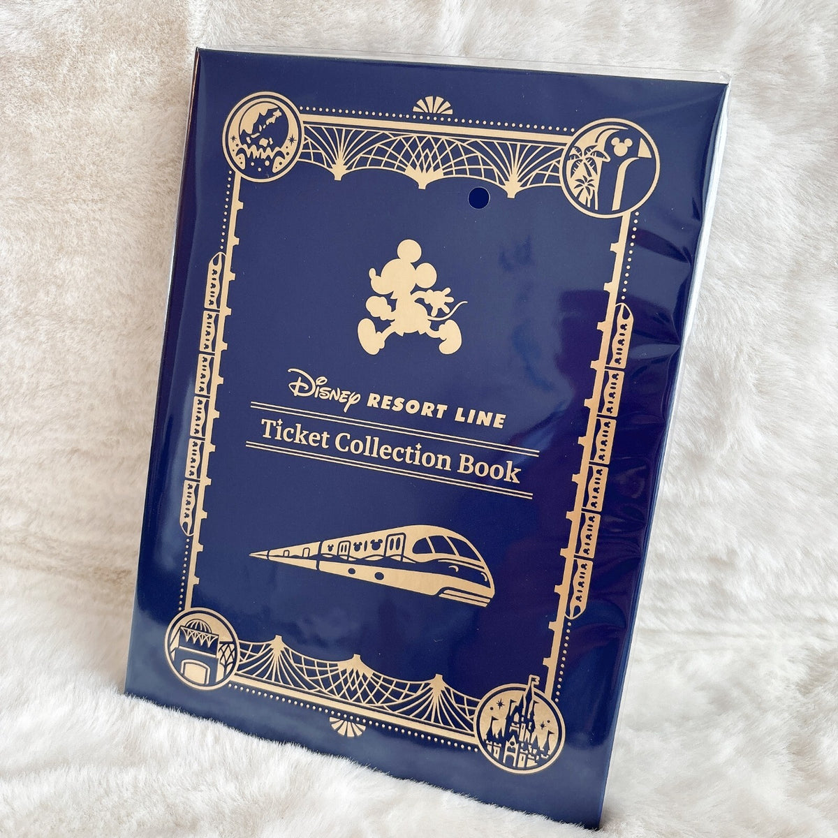 Japan Tokyo Disney Resort Disney Resort Line Ticket Collection Book Card Case