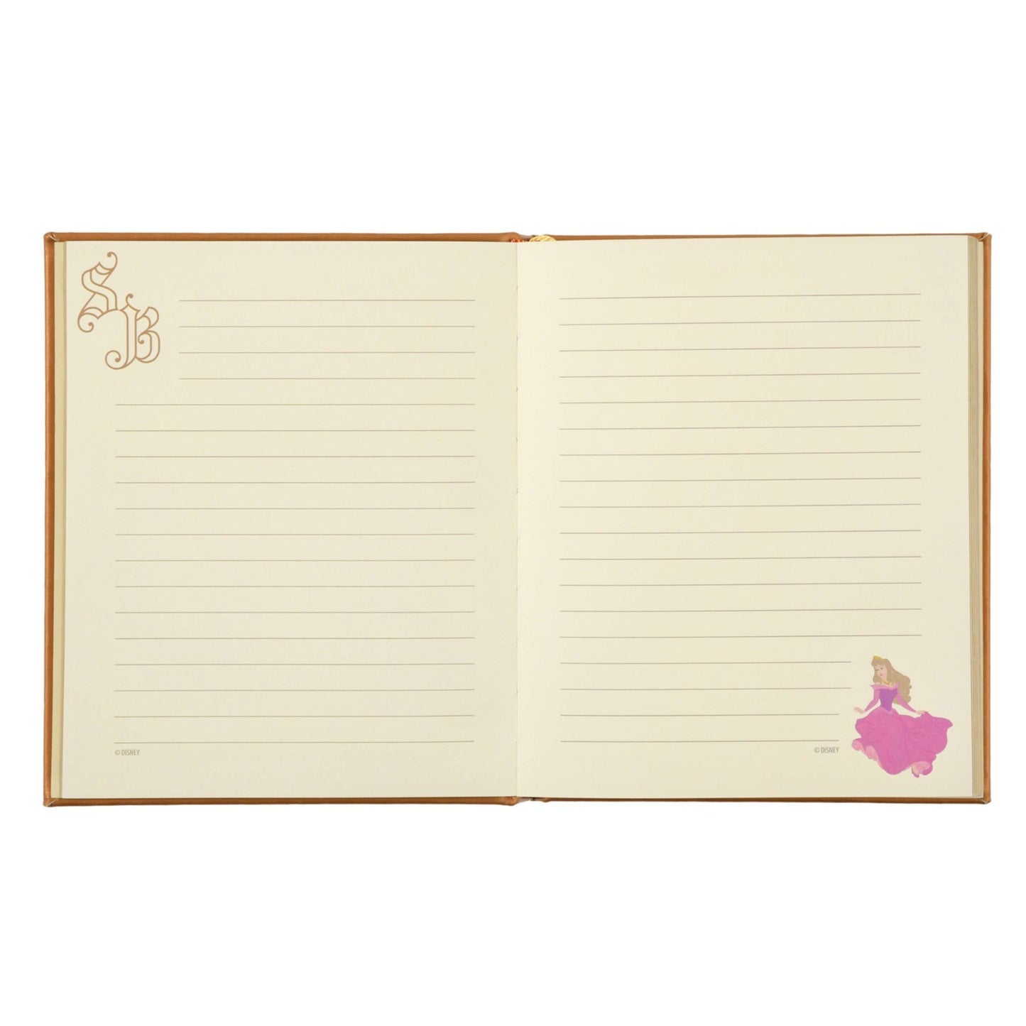 Japan Tokyo Disney Store Sleeping Beauty Notebook Storybook Archives Collection