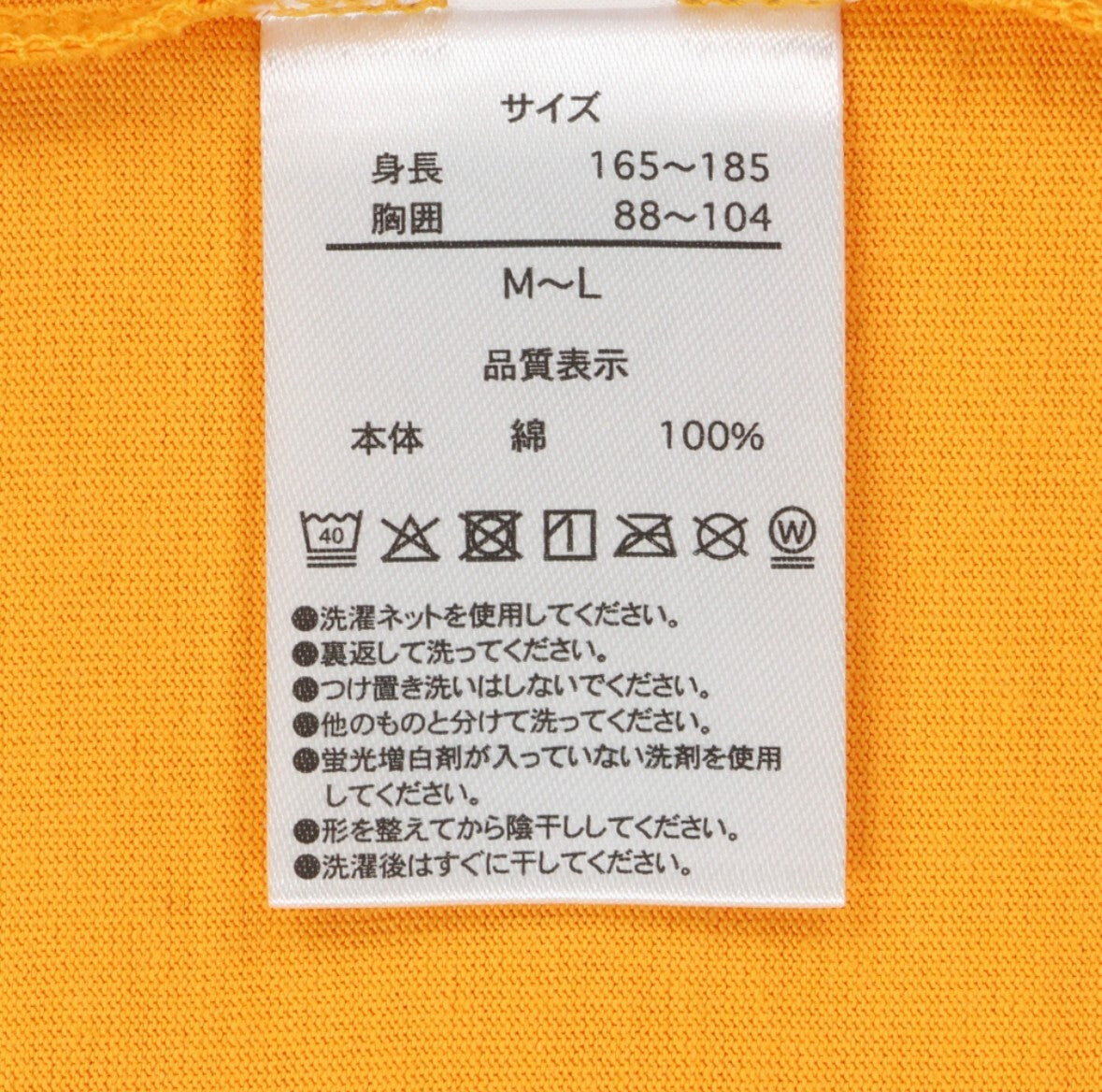 Japan Tokyo Disney Resort T-Shirt Winnie the Pooh Tigger 2025 New