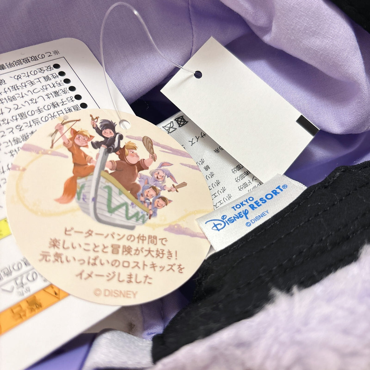 Japan Tokyo Disney Resort Ears Cap Hat Lost Kids Nibs Peter Pan Fantasy Springs