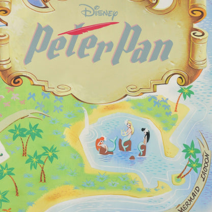 Japan Tokyo Disney Store Peter Pan Picnic Sheet S Pouch Map Compact