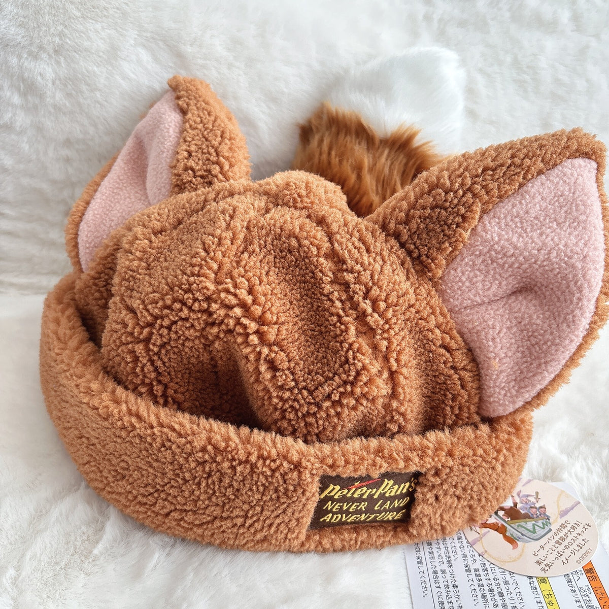 Japan Tokyo Disney Resort Cap Ears Lost Kids Set of 5 Peter Pan Fantasy Springs