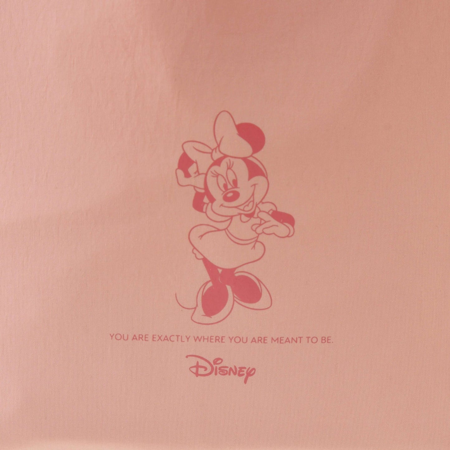 Japan Tokyo Disney Store Minnie Mouse Tote Bag D-Ring 2WAY TOTE BAG Collection