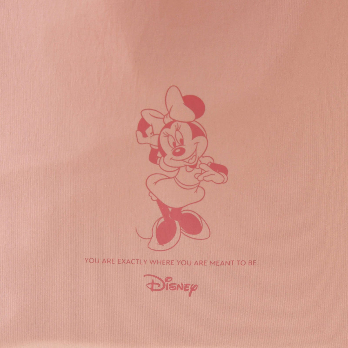 Japan Tokyo Disney Store Minnie Mouse Tote Bag D-Ring 2WAY TOTE BAG Collection