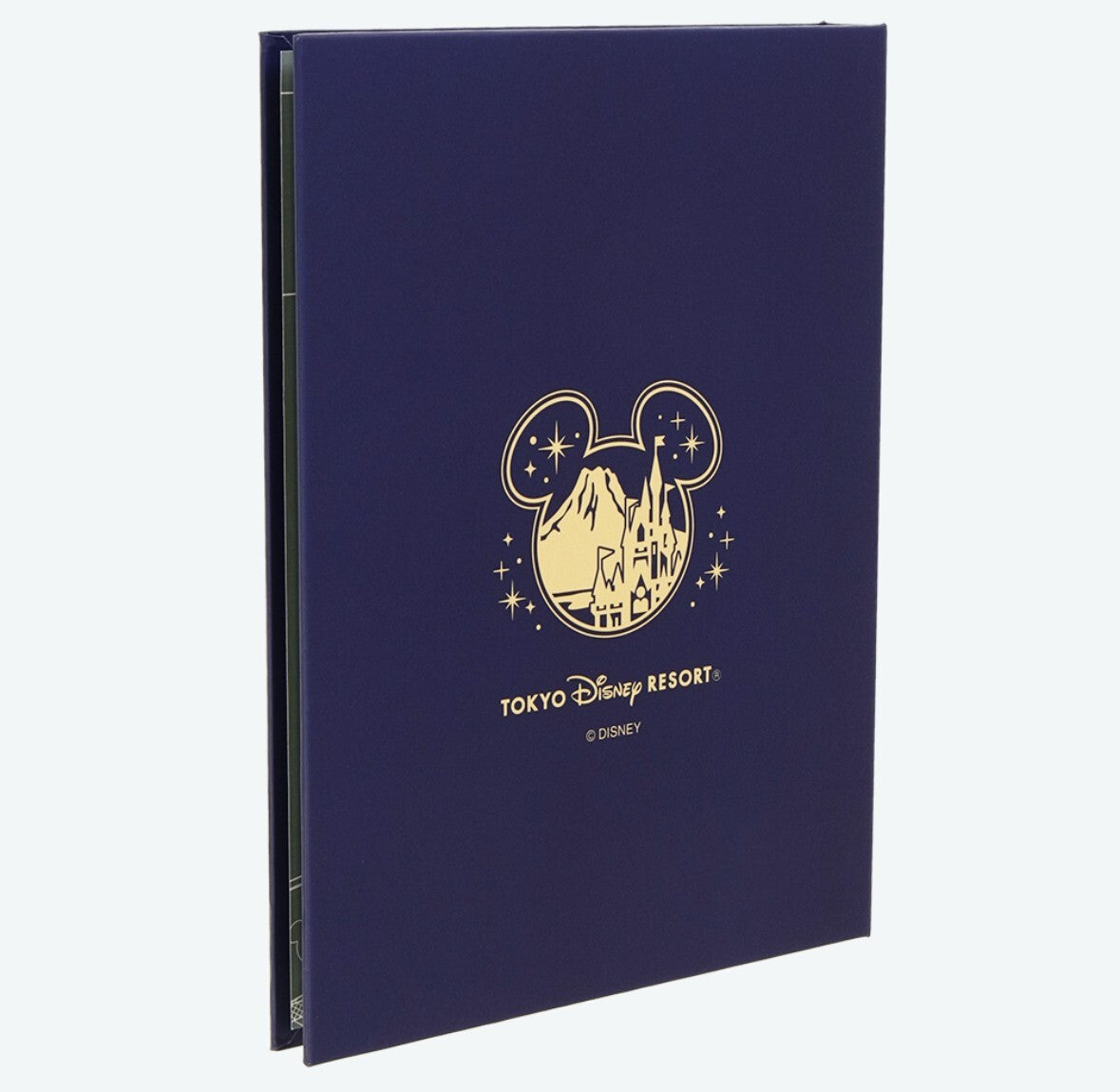 Japan Tokyo Disney Resort Disney Resort Line Ticket Collection Book Card Case