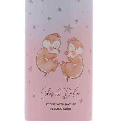 Japan Tokyo Disney Store Chip and Dale Stainless Steel Bottle Drinkware