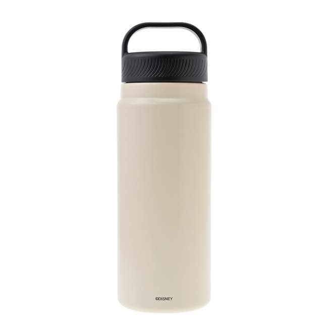 Japan Tokyo Disney Store Zootopia 2 Stainless Steel Bottle TROPICAL ZOOTOPIA