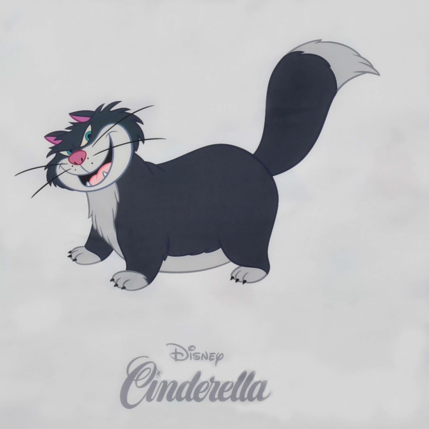 Japan Tokyo Disney Store Cinderella Shopping Eco Bags