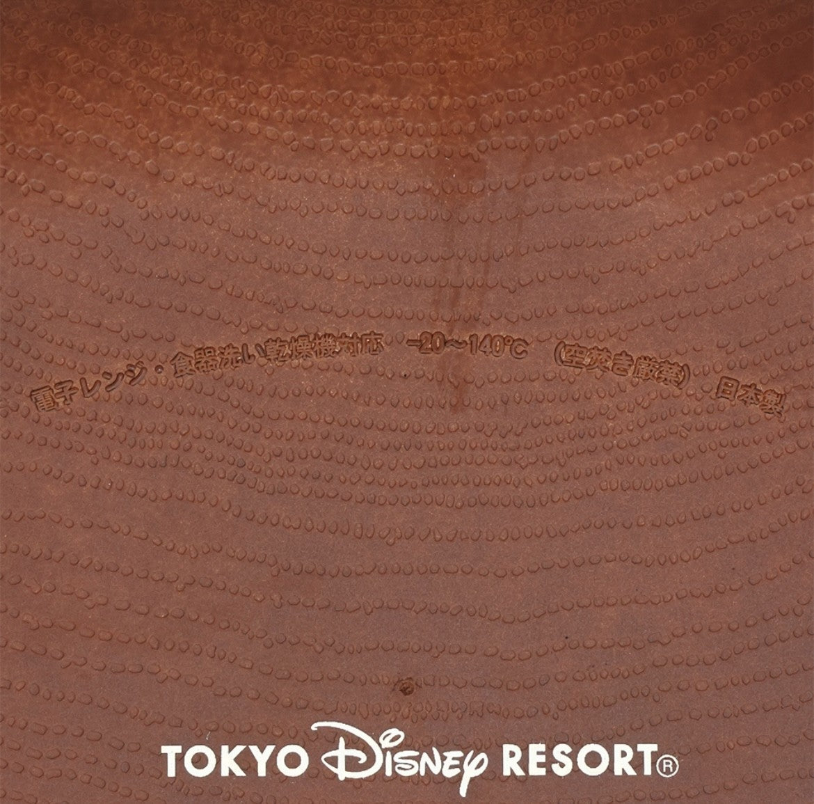 Japan Tokyo Disney Resort Plate Tableware Winnie the Pooh Piglet Limited 2025