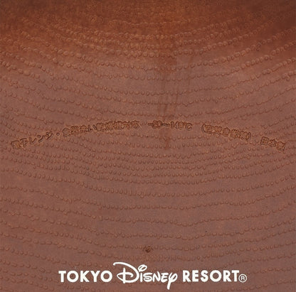 Japan Tokyo Disney Resort Plate Tableware Winnie the Pooh Piglet Limited 2025