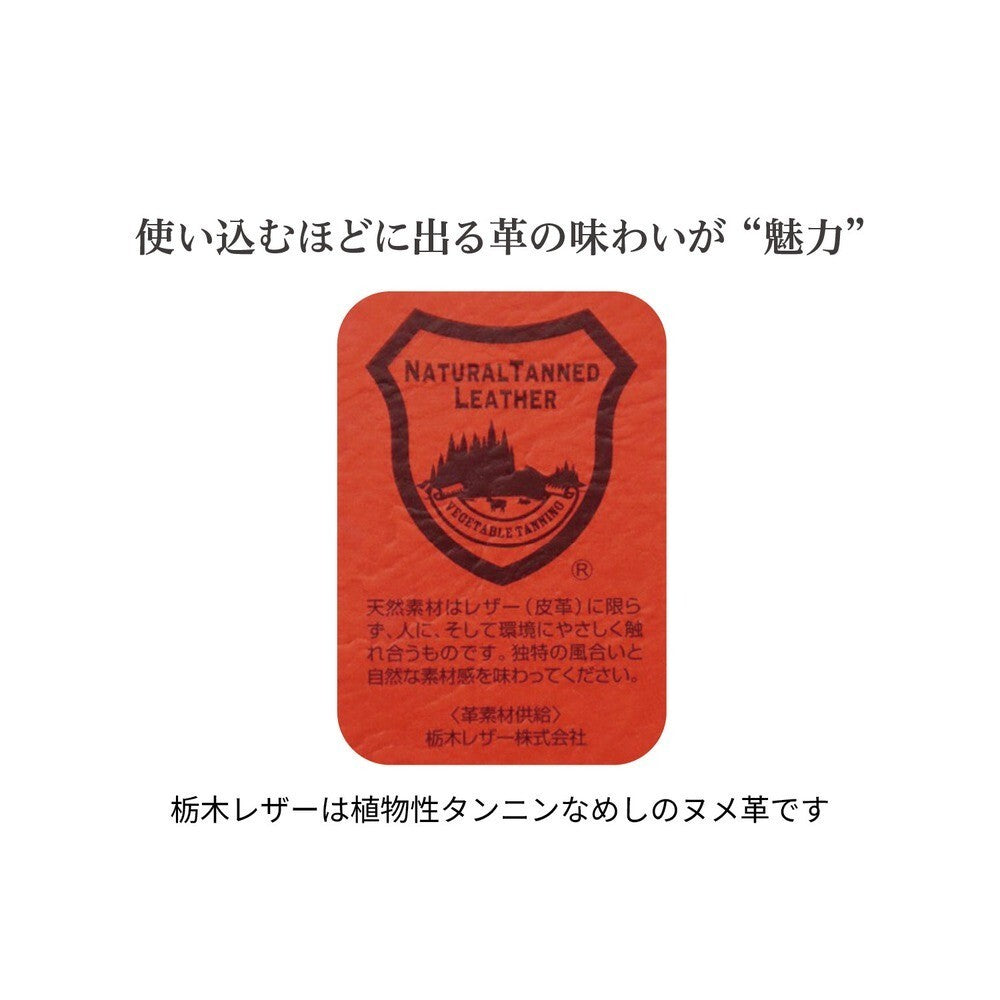 Japan Disney Fantasy Shop Bellemaison Pooh Tochigi Leather Cowhide Key Case