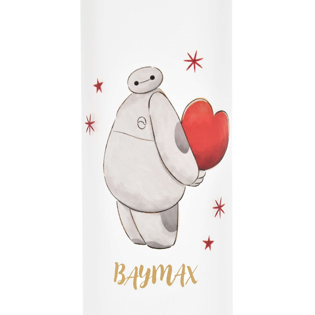Japan Tokyo Disney Store Baymax Water Bottle 1L Frosted Holiday Gift Drinkware