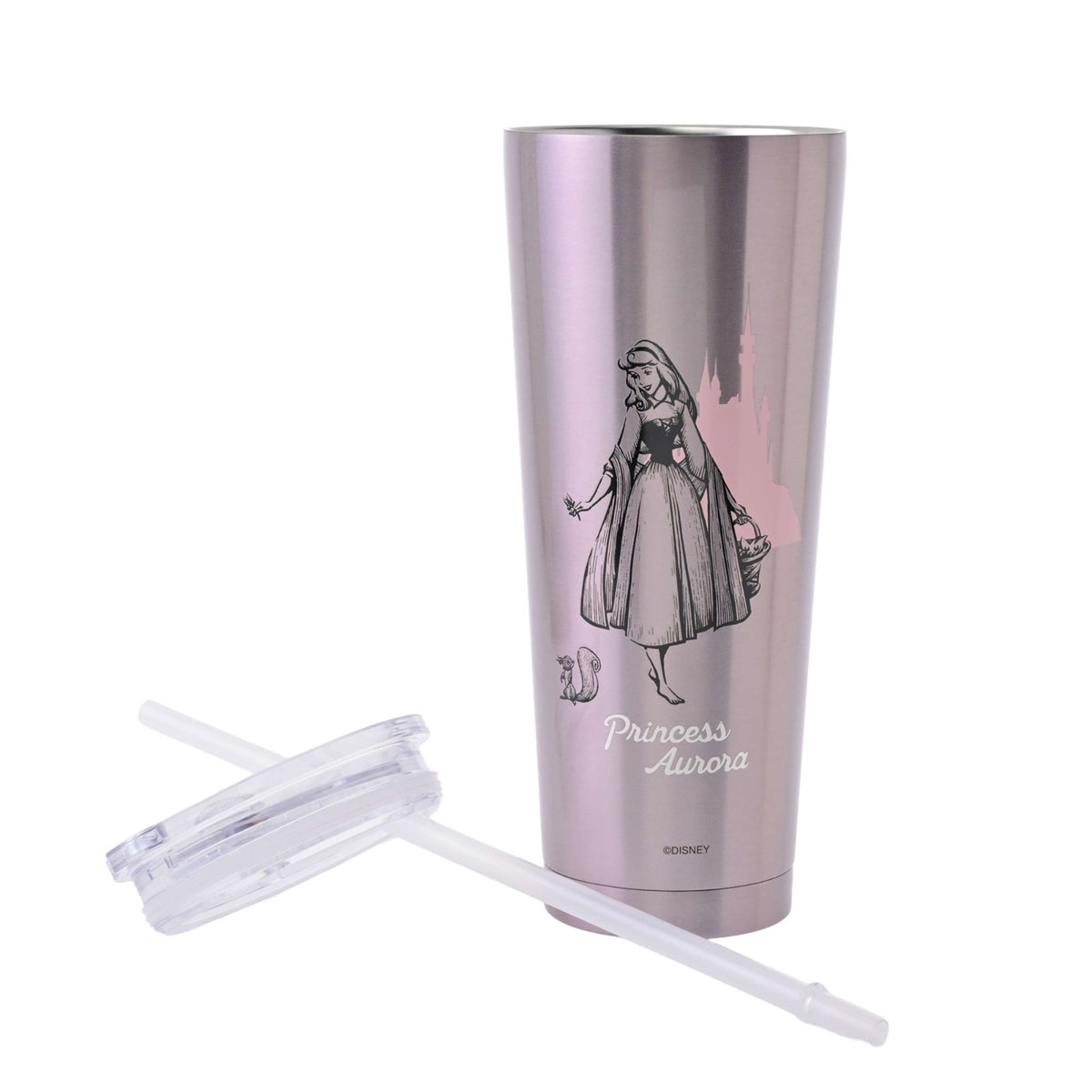 Japan Tokyo Disney Store Aurora Tumbler Stainless Steel with Straw Drinkware